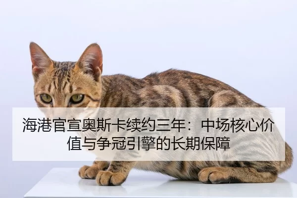 hai-gang-guan-xuan-ao-si-ka-xu-yue-san-nian-zhong-chang-he-xin-jia-zhi-yu-zheng-guan-yin-qing-de-chang-qi-bao-zhang-2-639.jpg